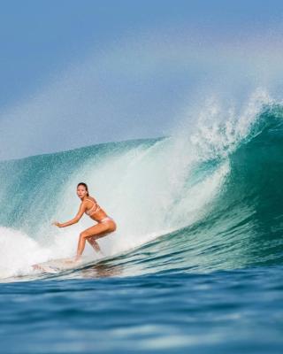 Cabana Surf and Stay