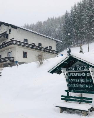 Alpenpension Gasthof
