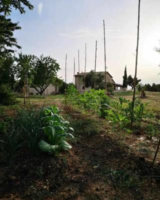 Casa rural restaurante Mas Del Rei