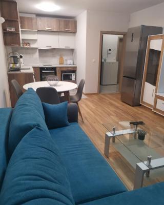 Brand new apartment with free parking near city center