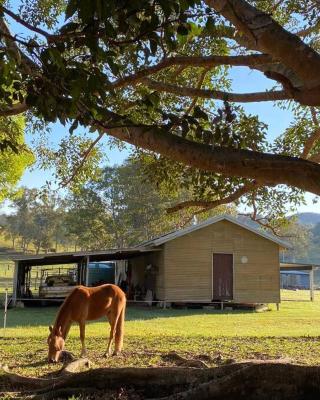 Stay at the Barn... Immerse yourself in nature.