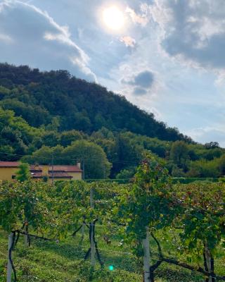 Euganean Hills Natural Park: Casale Il Boschetto