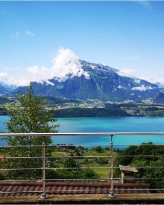 Chalet with view of the mountains and the Thun lake