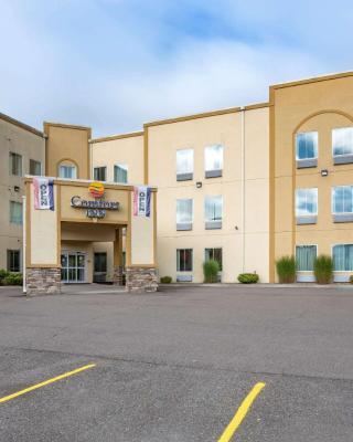 Comfort Inn Apalachin - Binghamton W Route 17