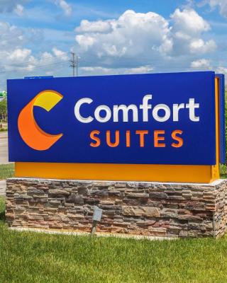 Comfort Suites Grayslake near Libertyville North