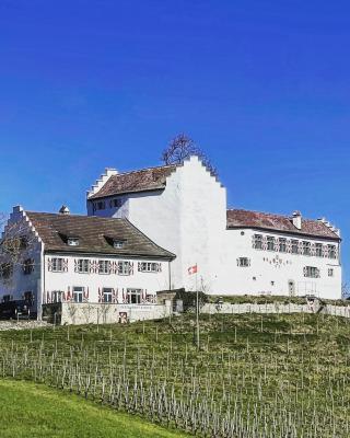 Hotel & Restaurant Schloss Schwandegg