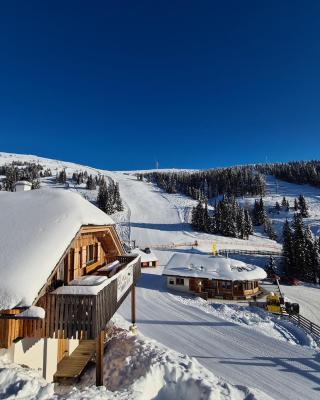 Almhütte Lachtal