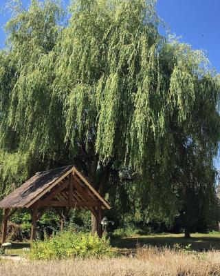 Charmant T2 au 1er dans résidence avec parc arboré