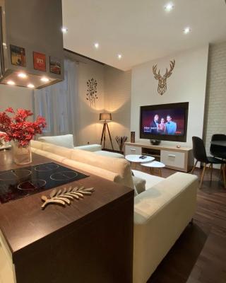 Budapest Downtown in Style - Luxury Apartment