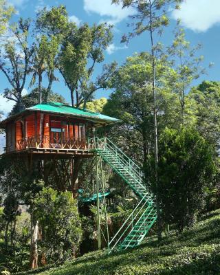 Dream Catcher Plantation Resort