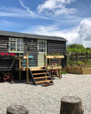 Willow Brook Shepherd Hut