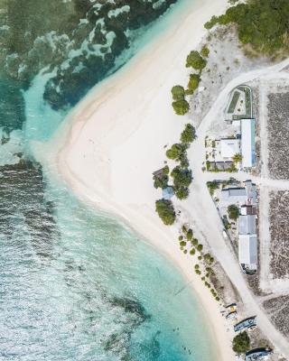 One The Island