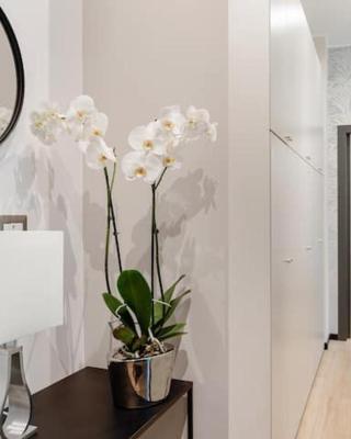 MK - Apartment Soderini
