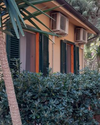 CASA VACANZE IN CAPRAIA ISOLA