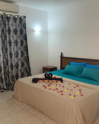 Viksh Seaview Apartment
