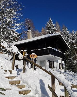 Charming chalet with panoramic view and private garage in Gruyère