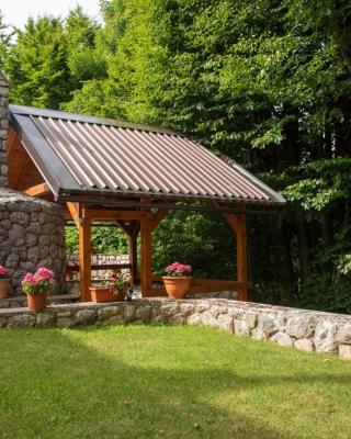 APARTMENT GORDANA A4+2 FOR 6 PAX NATURE PARK