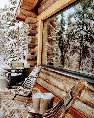 Cozy Log Cabin by Invisible Forest Lodge