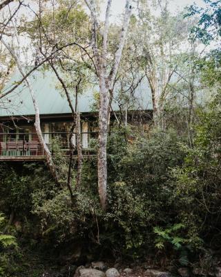 Rockwood Karkloof Forest Lodge & Mountain Cabin