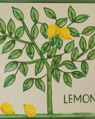 Casa Monte Cristo Apartments - Lemon