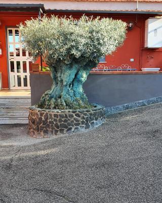Bed & Breakfast Neapolis