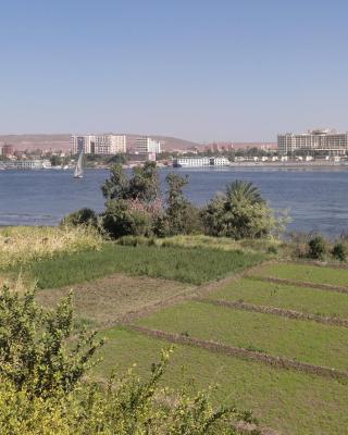 Nubian Holiday House Aswan
