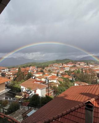 Guesthouse Panorama
