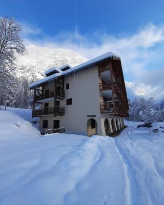 Vénosc-Les 2 Alpes , Rez de jardin