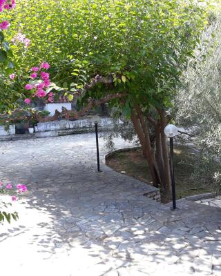 Σπίτι σε ελαιώνα, house in an olive grove