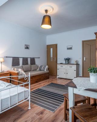 Willa Fryzowiczówka