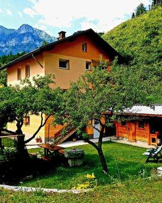 Apartment and Garden house among the mountains