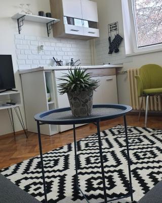 Apartman Park Jagodina-studio u centru grada FREE parking