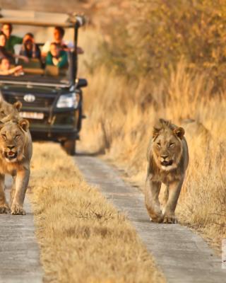 Morokolo Safari Lodge Self-catering