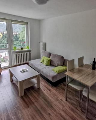 Apartament Wisła Centrum