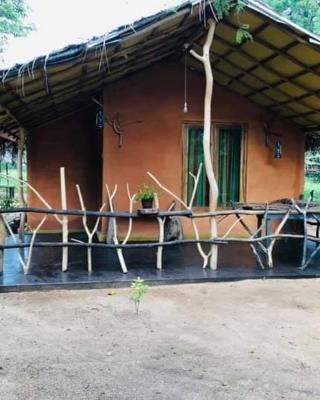 කැලෑව Jungle Eco Resort