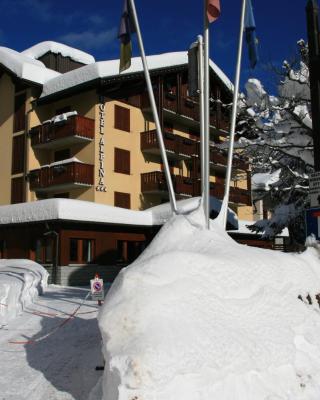 Hotel Alpina