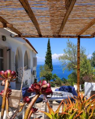 New! PaxosWhite Sea View Apartments & Studios!
