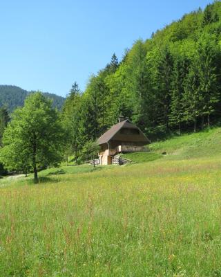 Apartmaji Brložnica pod Veliko planino