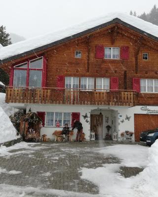 Ferienwohnung Casa Ursina