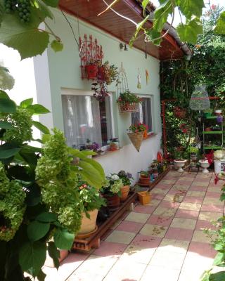 Casa Munteanu