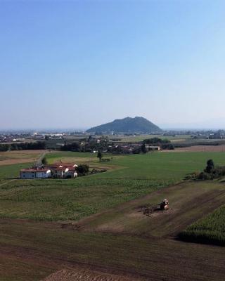 B&B L'orto del Geo