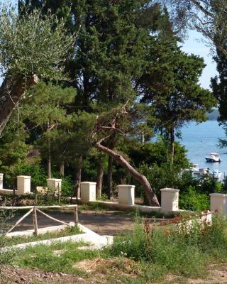 I Pesci nel golfo di Baratti