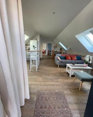 Appartement cosy sous les toits