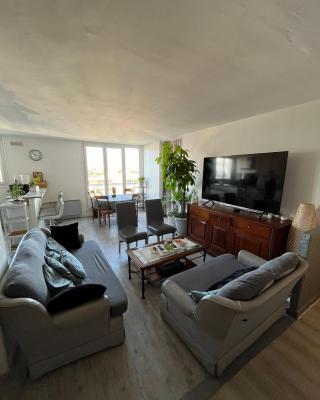 Grand appartement proche de Paris