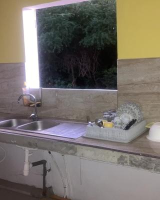 Mangrove