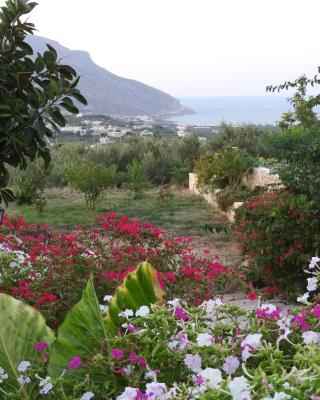 Chrissi's house with garden and sea view