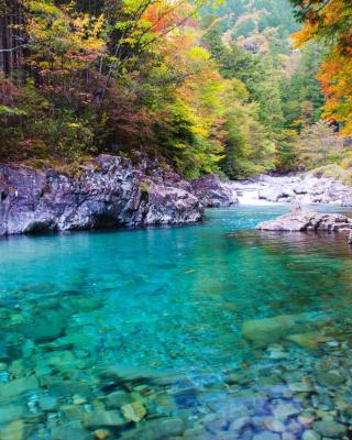 阿寺温泉 フォレスパ木曽あてら荘