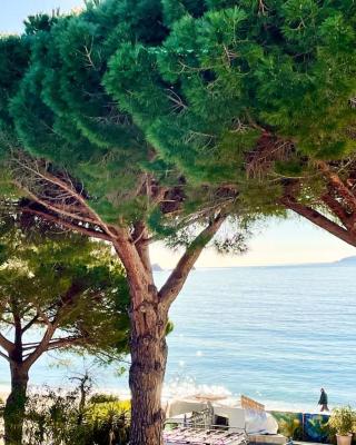 Appartement les pieds dans l'eau à Cavalière (Lavandou 83)