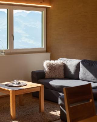 Alpenpanorama Konzett