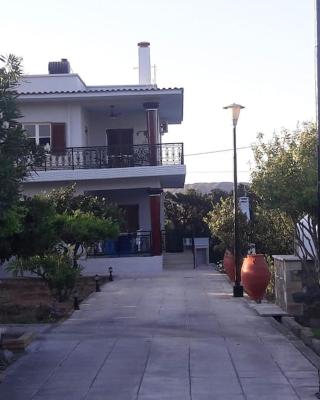 Diktynna villa